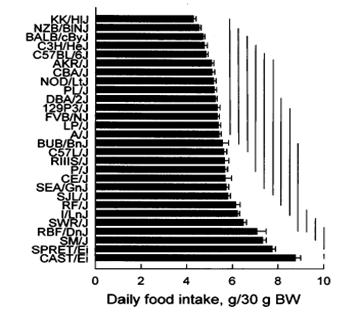 Bar graph with mouse strain species on y axis and food intake on x axis