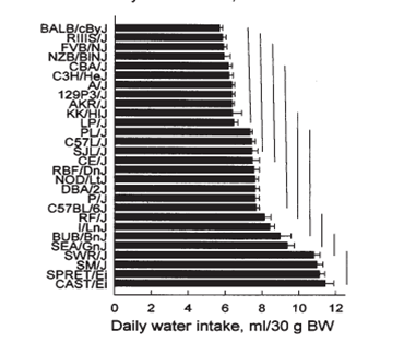 Bar graph with mouse strain species on y axis and water intake on x axis